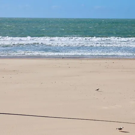 Aranpe Playa Cadix